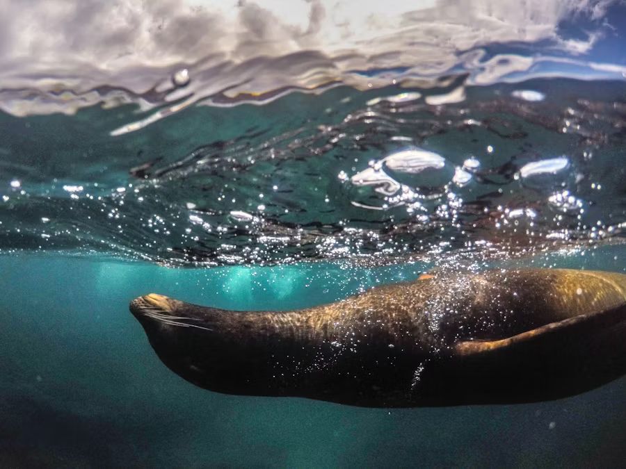 andurriante-viajes-galapagos-2